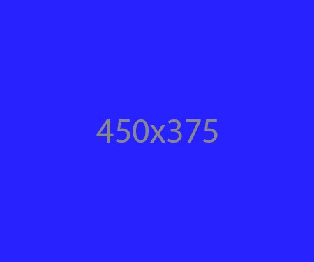 450x375_banner